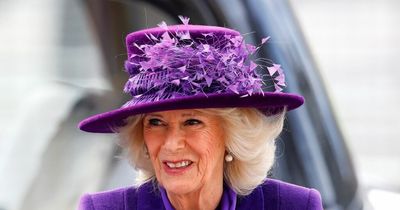 Duchess of Cornwall replaces Meghan Markle as royal patron of National Theatre