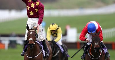 Who won the Cheltenham Gold Cup last year?