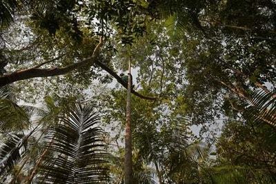 Boys found in Amazon rainforest after missing for four weeks