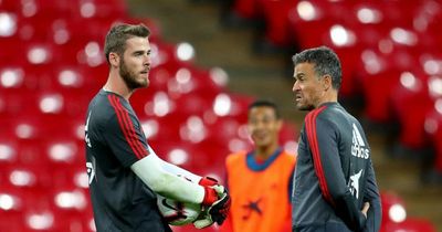 Man Utd keeper David de Gea dealt fresh blow by Spain boss Luis Enrique