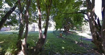 Man's banned Pitbull bought on Gumtree attacked two other dogs in park
