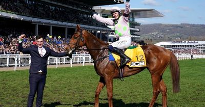 Who won the races at Cheltenham today? The results from Gold Cup day