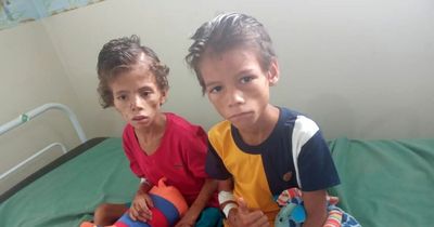 Brothers, 7 and 9, survived in rainforest for 27 DAYS with berries and rainwater