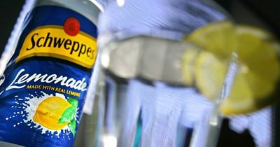 Six supermarket lemonades were tested against Schweppes - and a 32p bottle won
