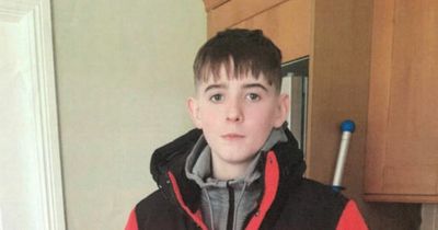 Gardai renew appeal to find Meath teenager missing for two weeks