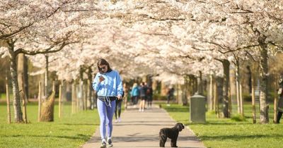 UK weather: Brits set for 'hottest weekend of the year' as mini-heatwave brings 18C highs