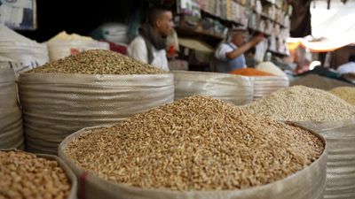 UN warns Ukraine's food supply chain is "falling apart"