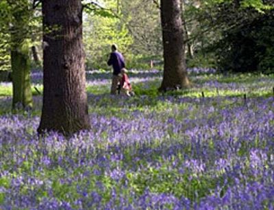 UK records hottest day of the year as weekend spring temperatures set to soar to 18C