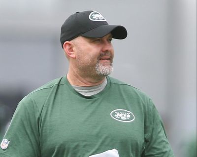 Lions announce new additions to the coaching staff