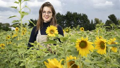 Sunflower power: a unique way to destress in Canberra