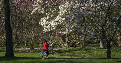 Met Eireann forecasts return of sun as 'pleasant warm spring days' to bring unseasonable 17C heat