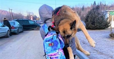 'We must welcome Ukrainian refugees and their pets as they escape evil Putin'