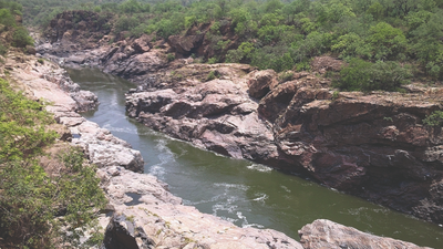 Karnataka to seek early clearance of DPR, says CM Basavaraj Bommai