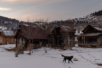 Seeking refuge amongst Ukraine’s Carpathian mountains