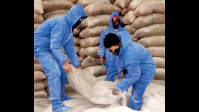 Andhra Pradesh: Strategy to stop Public Distribution Scheme grain diversion a hit