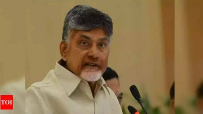 Andhra Pradesh: Probe allegation against N Chandrababu Naidu, says YSRC