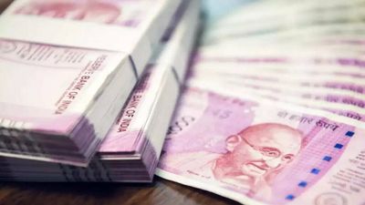 Nagaland Lottery results: Winning numbers of Dear Vulture Evening results