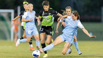 Canberra United's two demands for proposed Viking Park upgrades