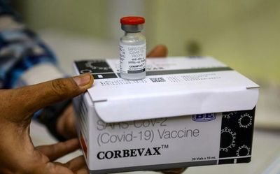 India logs 2,075 fresh COVID-19 cases, 71 deaths