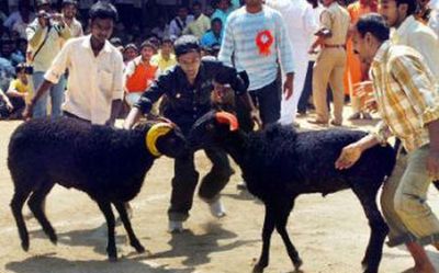 Stalls by Muslims not allowed at Marikamba Jatra in Shivamogga
