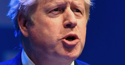 Tory staff told to prepare for election NEXT YEAR by senior Boris Johnson aide