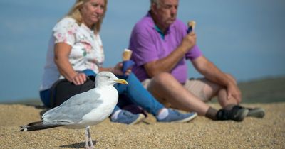 Met Office UK weather: Exact dates of scorching April heatwave and how long it'll last for