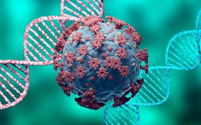 Recombination of two virus variants seen since 2020