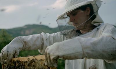 Hive review – inspiring Kosovan feminist drama