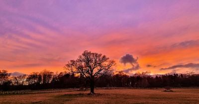 Edinburgh amateur photographer captures stunning snaps of natural beauty spots
