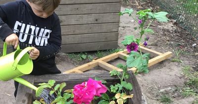 Budding designers at Lanarkshire primary win pocket garden competition