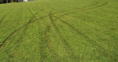 Historic Dublin football club's pitch destroyed by 'mindless joyriders'