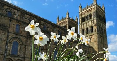 'Excellent news' - MPs react as County Durham is shortlisted to be City of Culture 2025