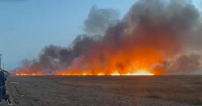 Video shows massive wildfire sweeping across marshland in Wirral