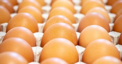 Morrisons and Sainsbury's won't have any free-range eggs from Monday