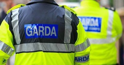 Gardai rush to the scene after shooting incident in Dublin