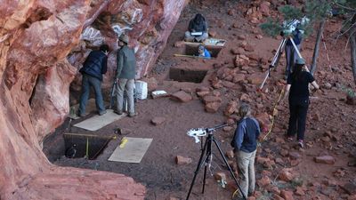 Ancient campfire in Western Desert at least 50,000 years old, archaeologists say