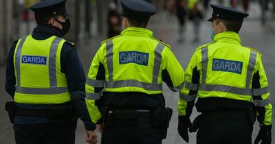 Dublin shooting: Woman in her 30s shot dead as police hunt killer