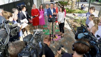 Labor Premier-elect Peter Malinauskas joined by several new women MPs in SA government ranks