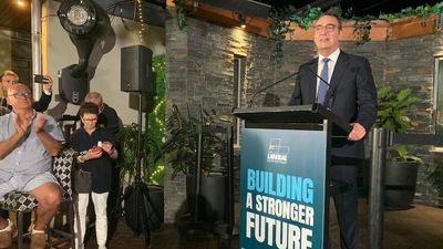 Outgoing SA Premier Steven Marshall to step down as Liberal leader after election defeat