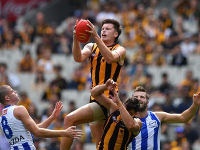 Forwards power Hawthorn past North in AFL