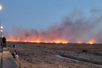 Marshland blaze at RSPB reserve extinguished
