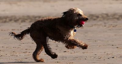 How long will the good weather in the North East last?