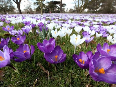 Everything you need to know about the spring equinox
