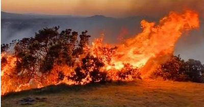 Dramatic Edinburgh images show moment wildfire rips through beauty spot