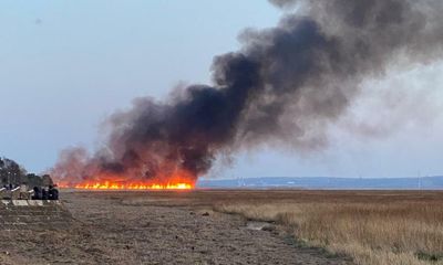Wirral RSPB reserve ravaged by fire police suspect was started deliberately