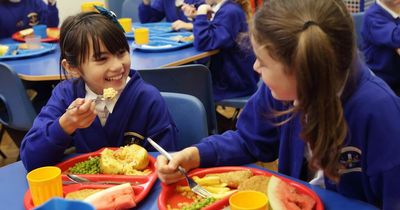Northern Ireland schools: Strike may lead to impact on transport and meals