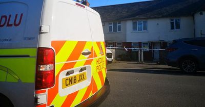 Woman arrested for attempted murder after man stabbed at home in Cardiff