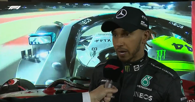 Lewis Hamilton reacts to Max Verstappen's failure to finish Bahrain GP