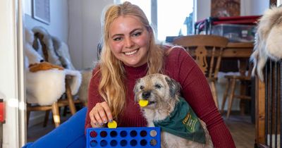 Adorable dogs play Connect 4 after owner vowed to prove doubters wrong