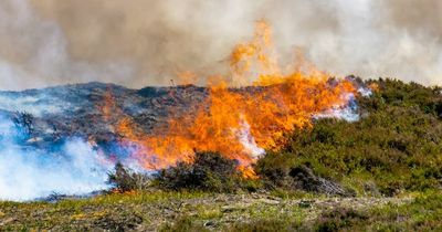 'Extreme' wildfire warning issued for west of Scotland amid warm and dry weather